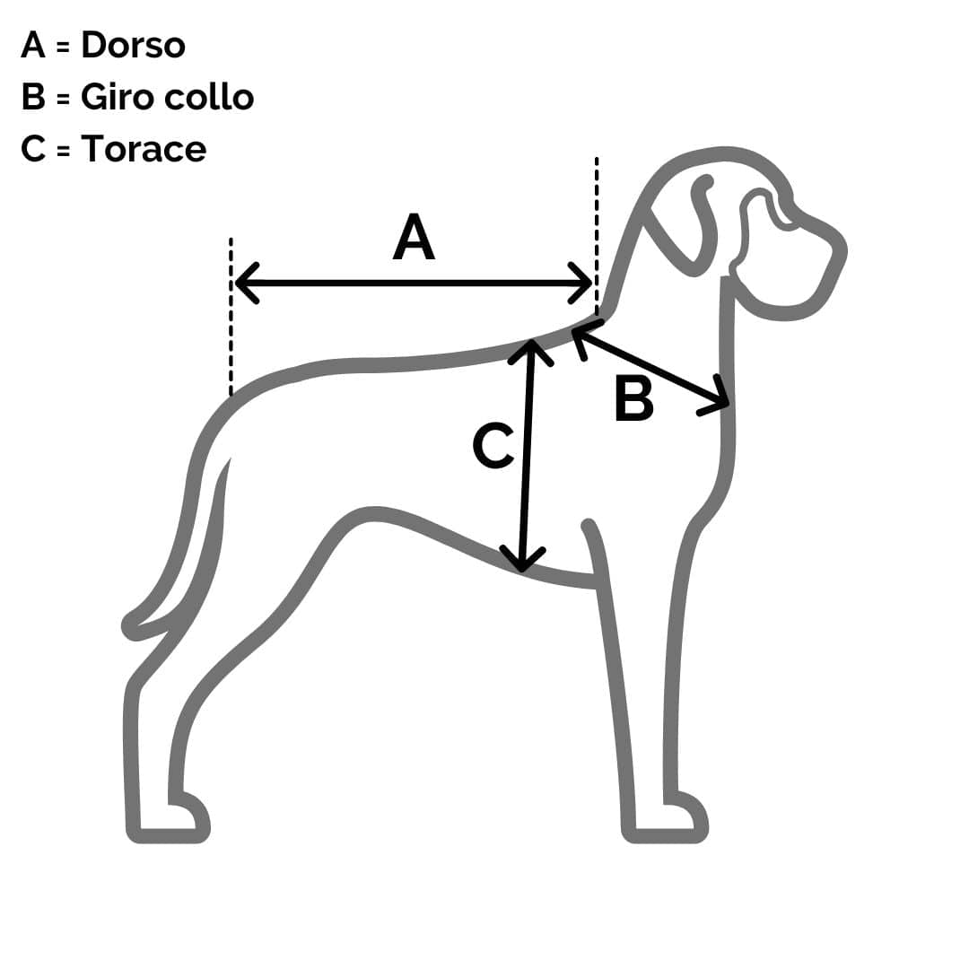 Cappottino Logan per cani con Cappuccio Record (2492342)