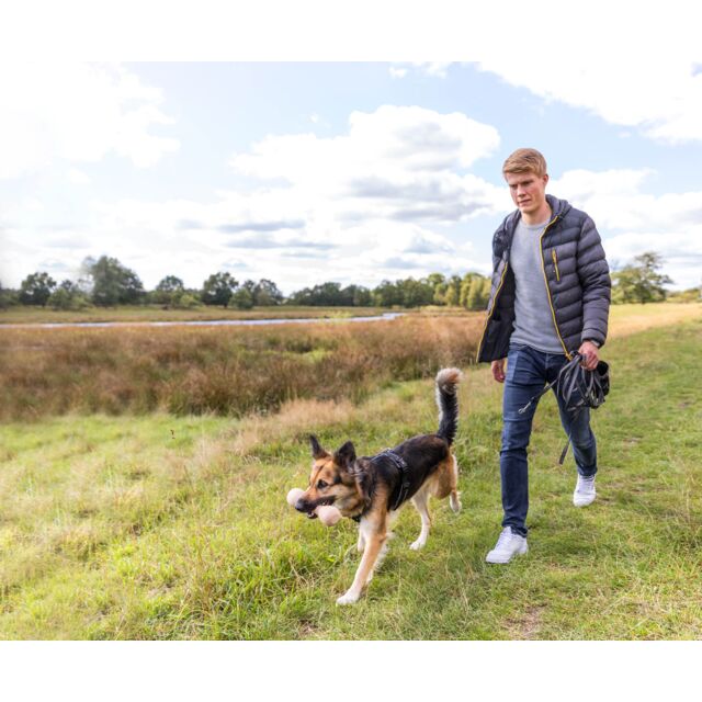 Lunghina con rivestimento in gomma per cani