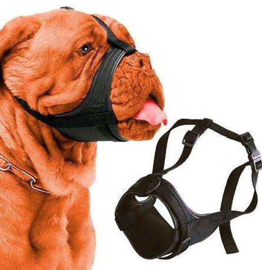 Museruola Safe Boxer per muso corto Regolabile - Ferplast Ferplast (2495825)