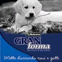 Logo Nutrena Gran Forma