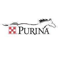 Logo Purina Cavalli