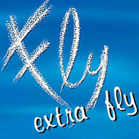 Logo Fly Raggio di Sole