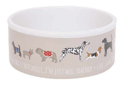 Ciotola in Ceramica per Cane MillStore (2492885)