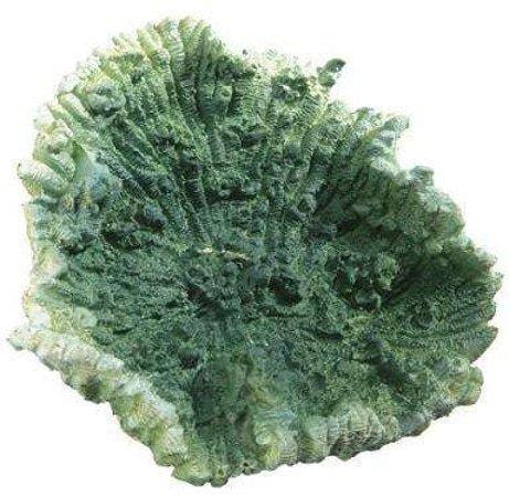 Corallo Verde Small - Blu 9135 - Decorazione In Resina Ferplast (2493261)
