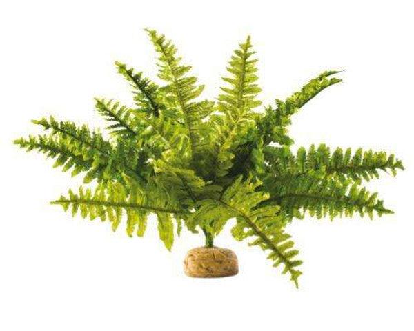 Exo Terra Boston Fern Medium, Pianta artificiale della Foresta Pluviale Exo Terra (2493698)