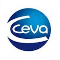 Ceva Vetem
