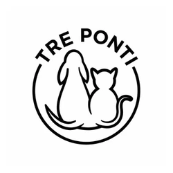 Tre Ponti