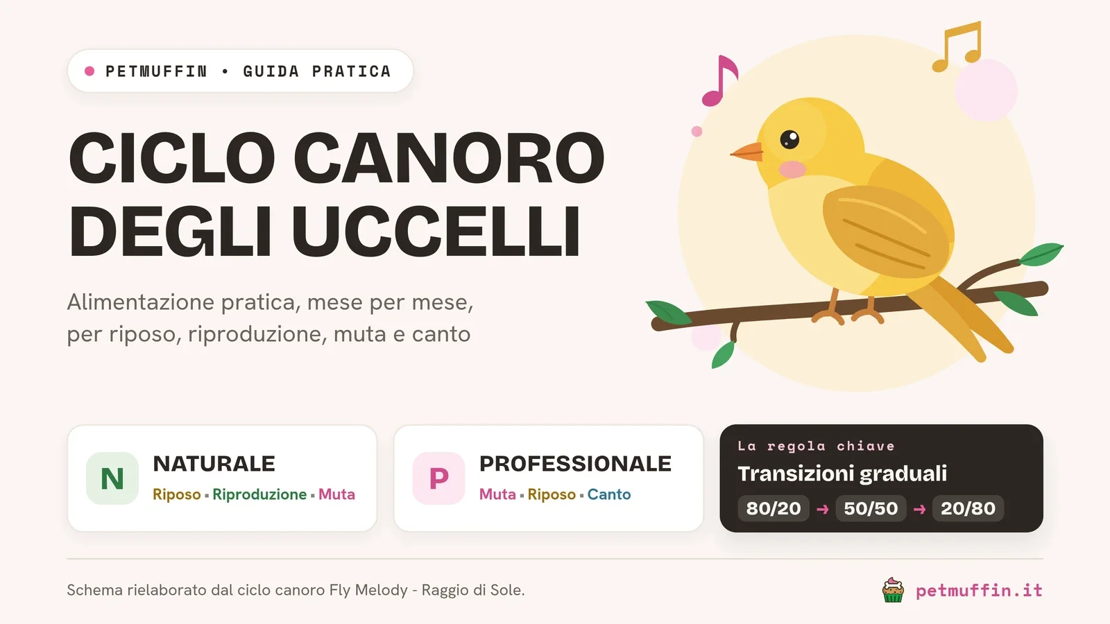 Ciclo canoro degli uccelli: alimentazione mese per mese