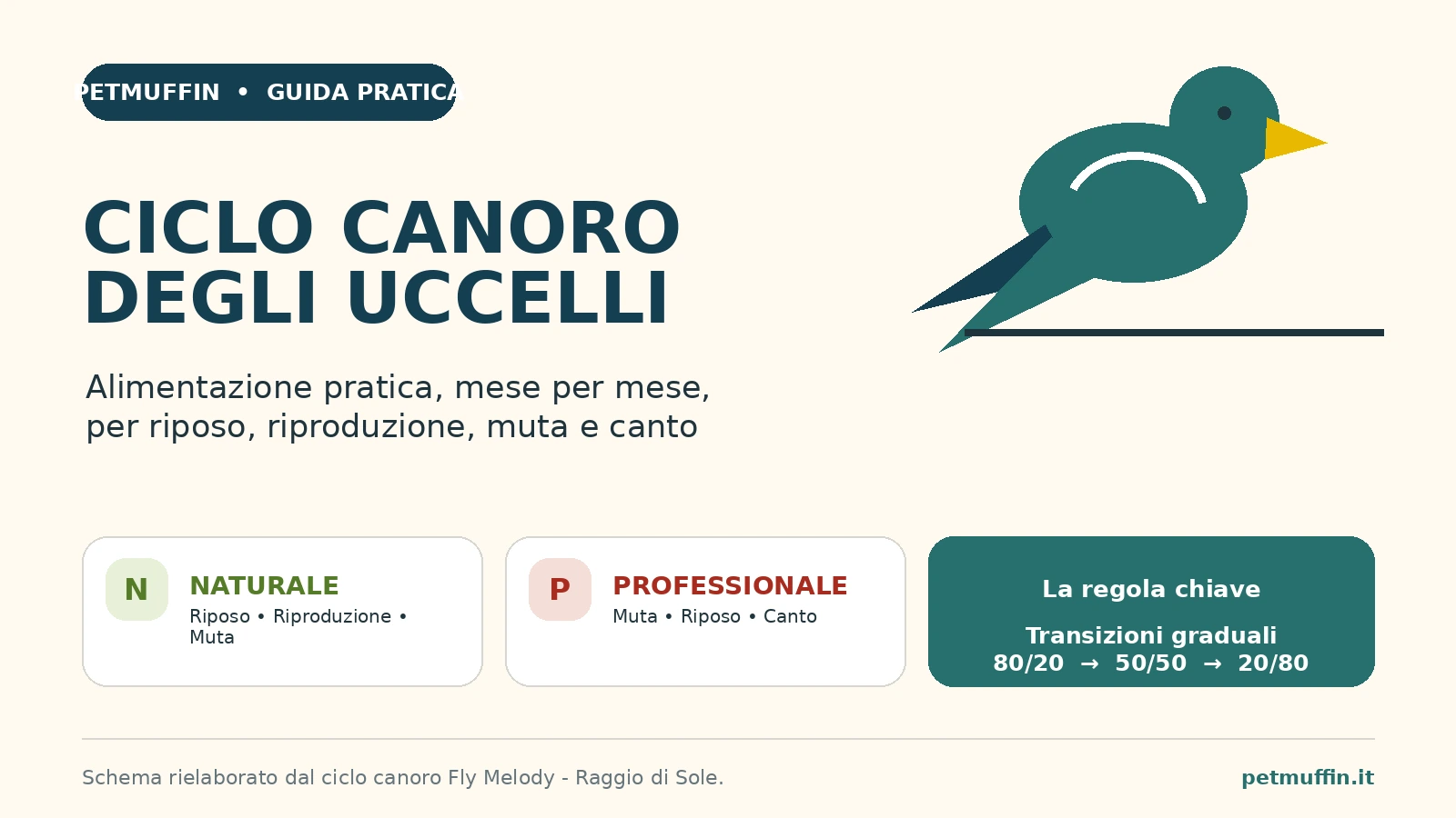 Ciclo canoro degli uccelli: alimentazione mese per mese