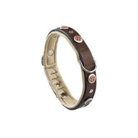 Collare pelle con borchie Giotto - Ferplast