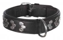 Collare Active con Applicazioni L 48-55 cm Nero - TRIXIE - Immagine 1