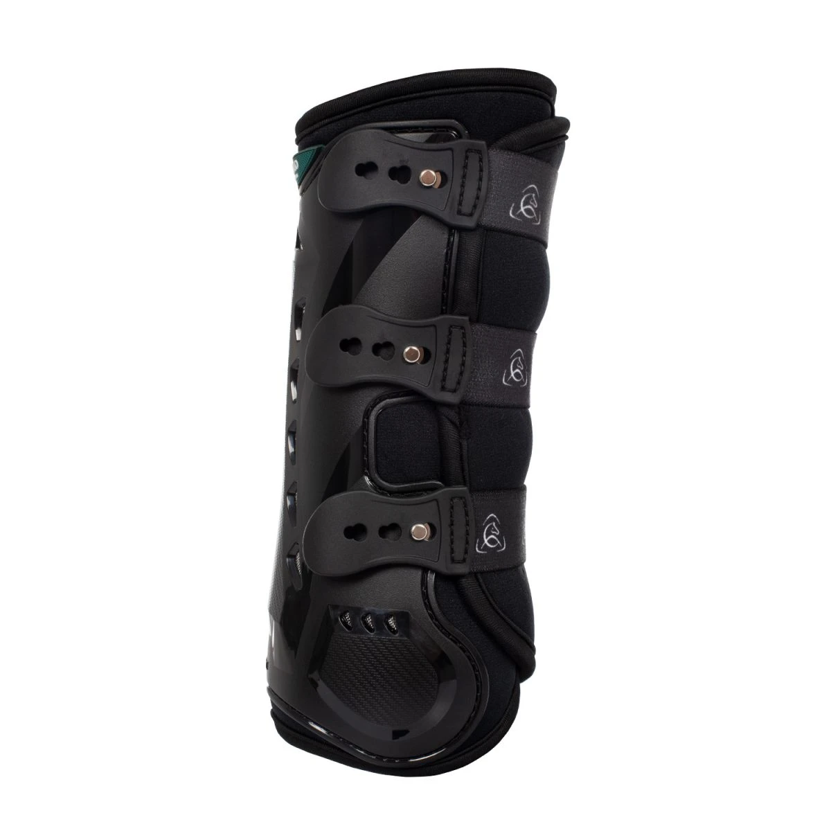 Acavallo Stinchiere Posteriori Dressage Anatomiche