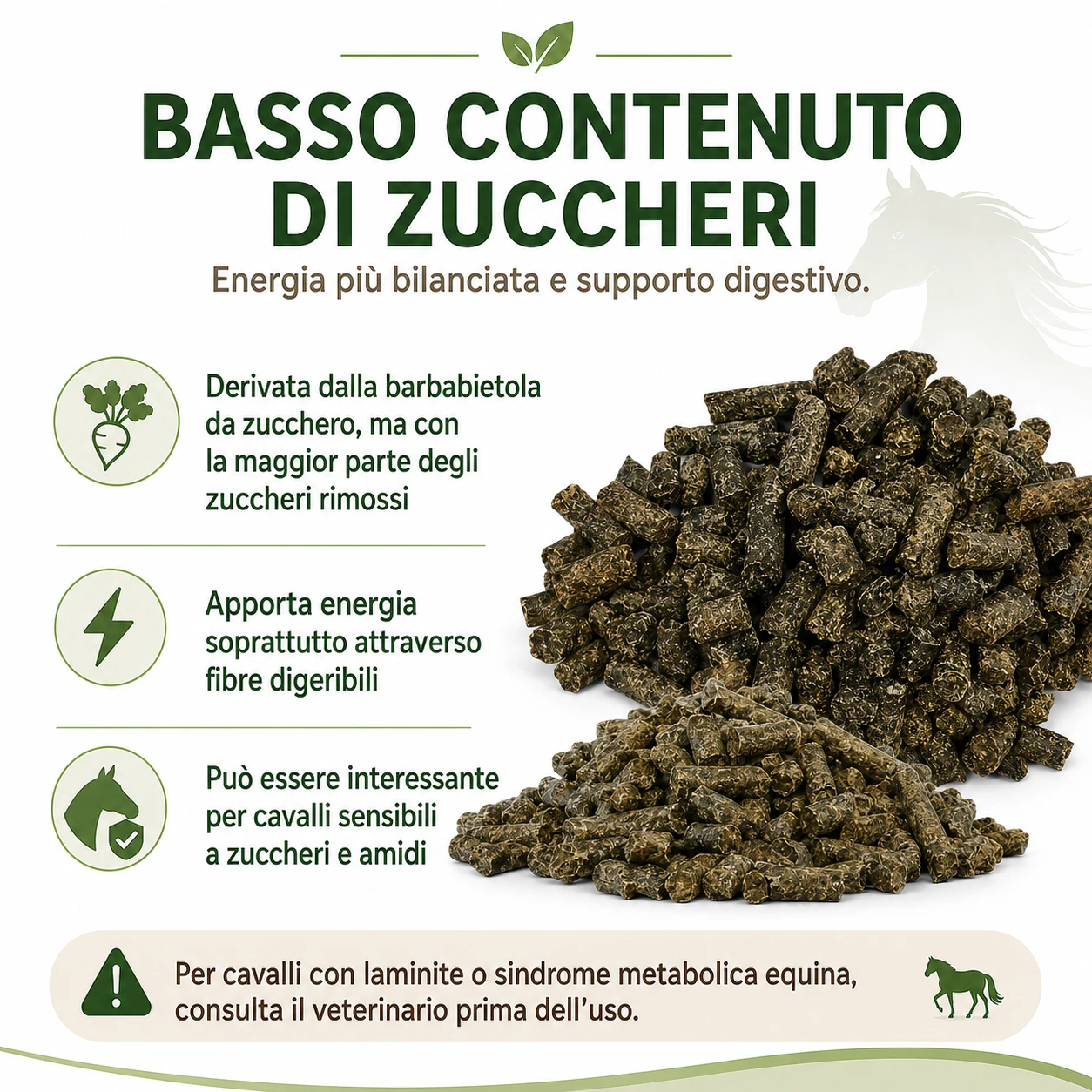 la polpa di barbabietola basso contenuto di zuccheri