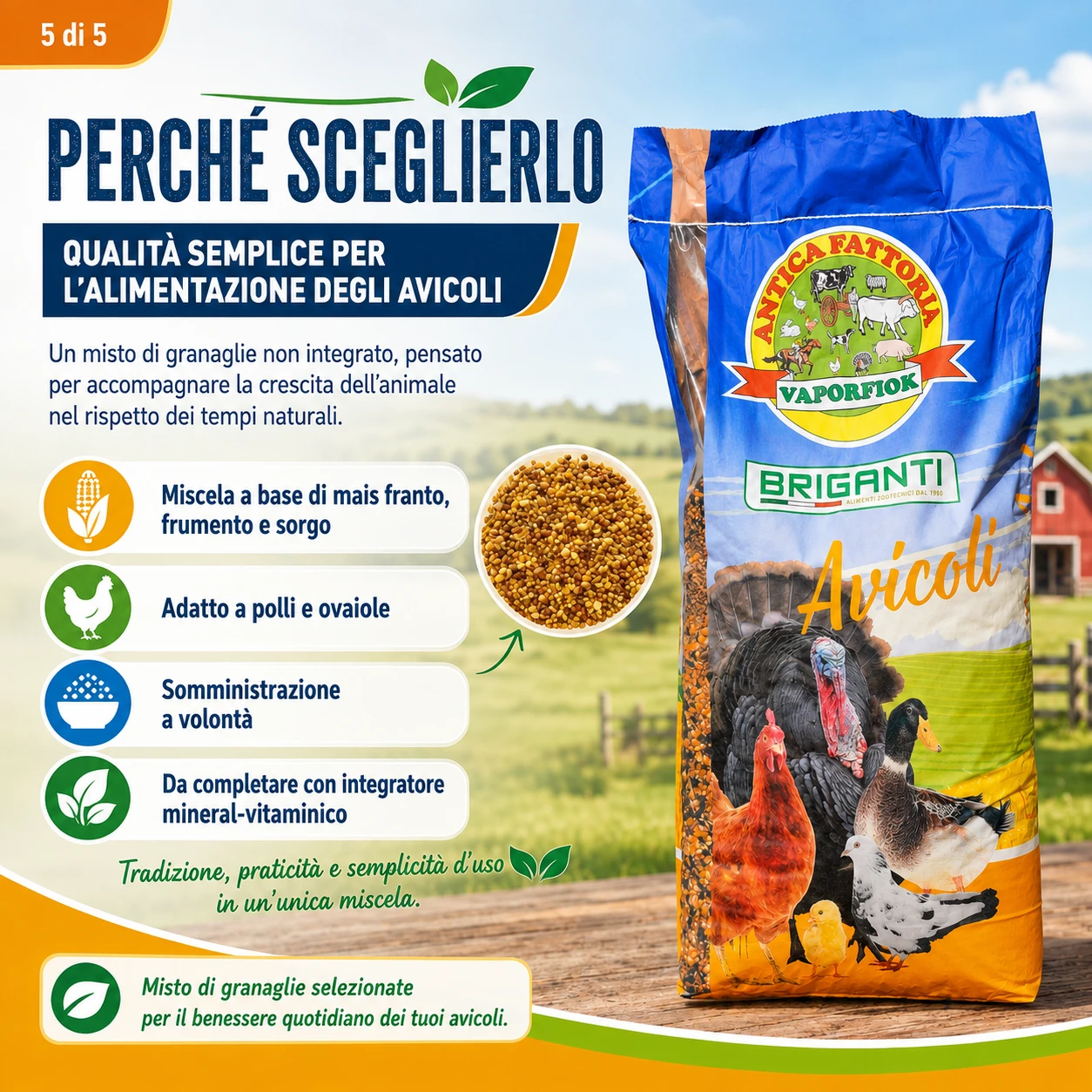 Perché sceglierlo