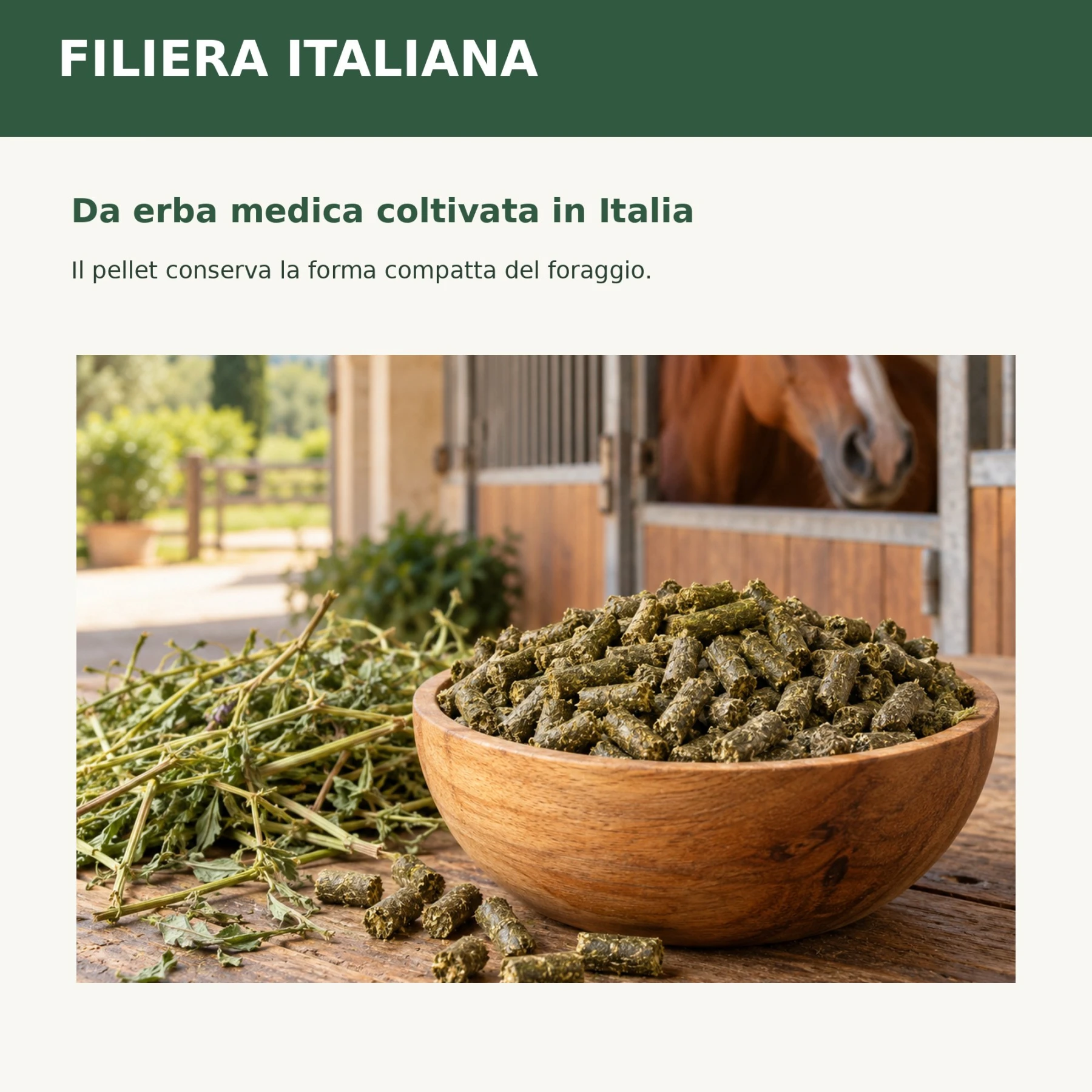 Erba medica italiana in pellet Gruppo Carli