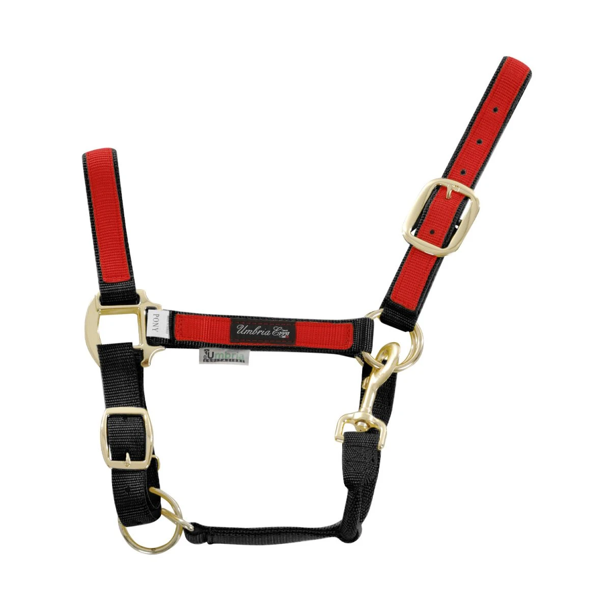 Cavezza in nylon con riporto colorato - Umbria Equitazione