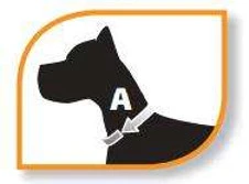 Ferplast Collare a strangolo per cane in acciaio cromato CS1570 - foto 2