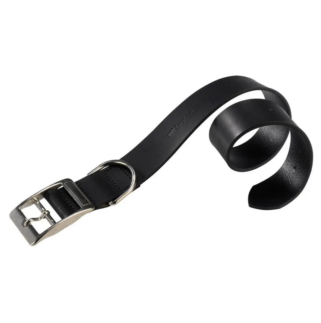 Collare Natural in Pelle per cane - Ferplast - Foto 2