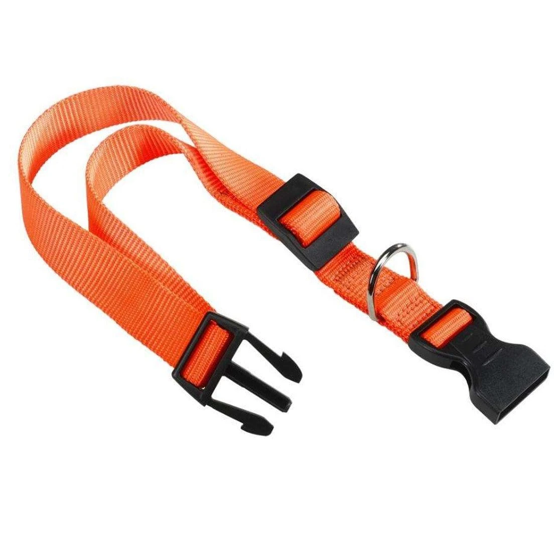 Collare Club in nylon con fibbia plastica per cani - Ferplast - Foto 2