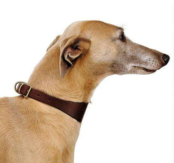 Collare Vip CW20/39 - Marrone - Ferplast - Foto 2