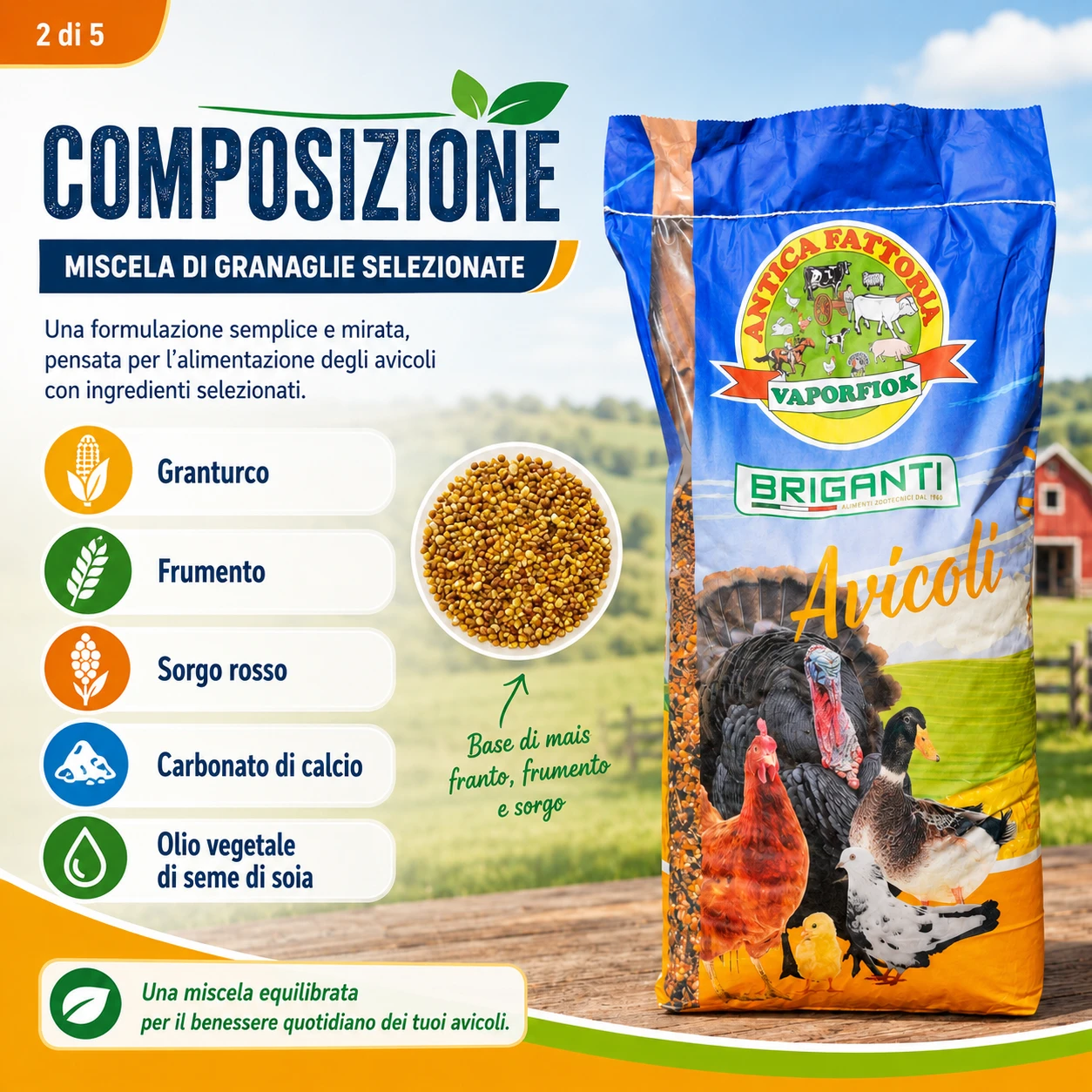 composizione 