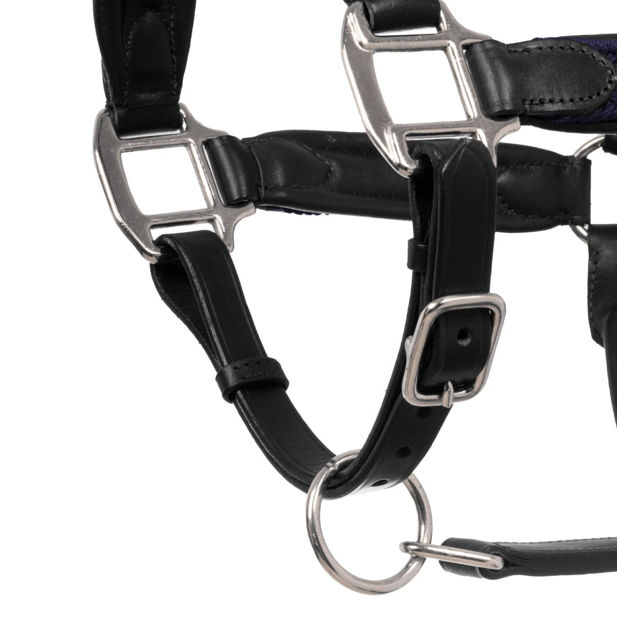 Equestro Cavezza in cuoio con inserti in nylon intrecciato - Cob Nero/Blu Navy - foto 4