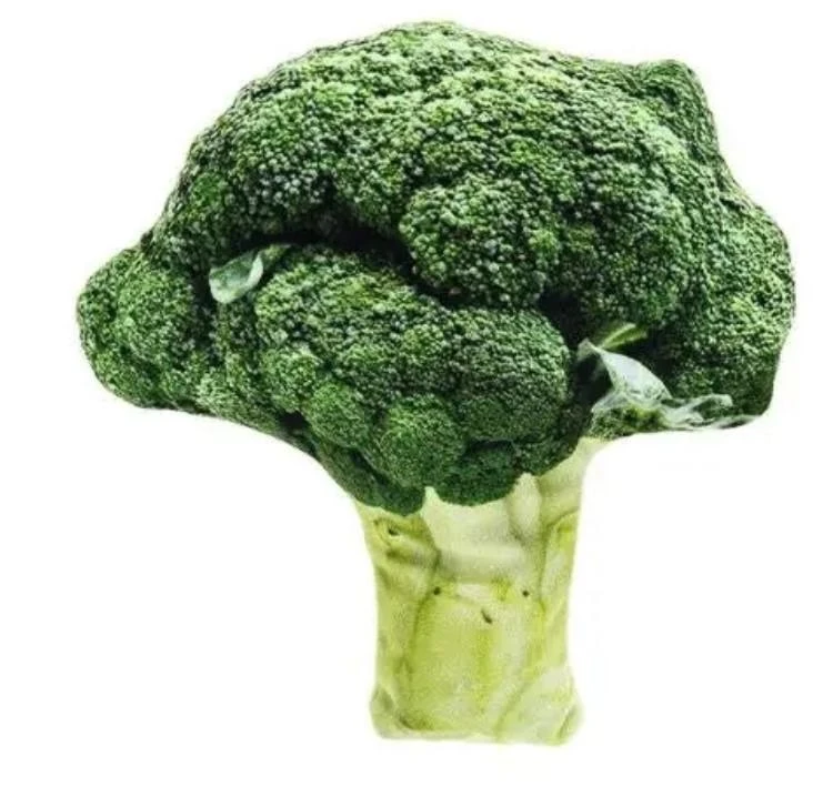 FERRIBIELLA Broccolo Matatabi CM 12x11,5