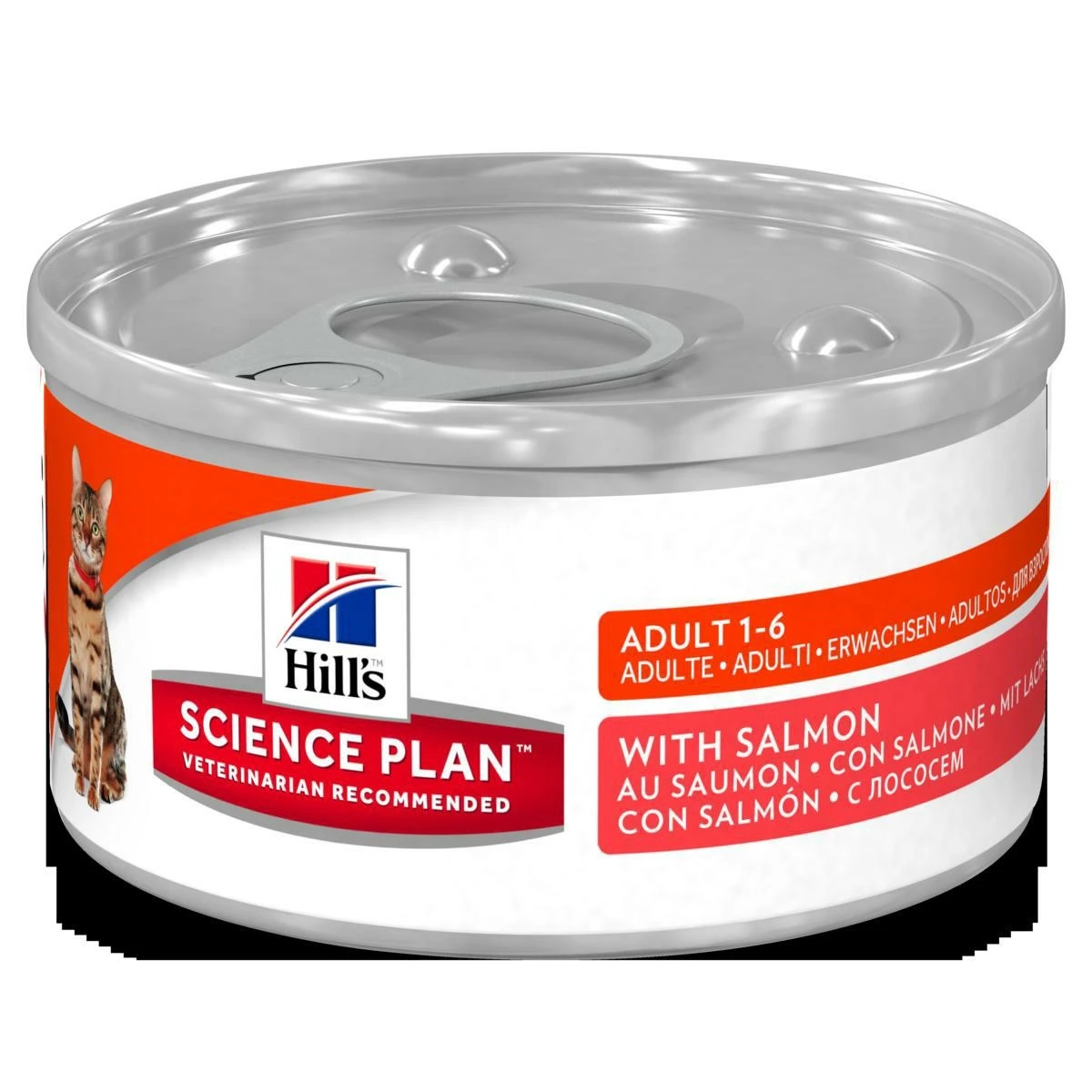 Hill's Mantenimento Salmone 12 x 82 g - Umido per gatti