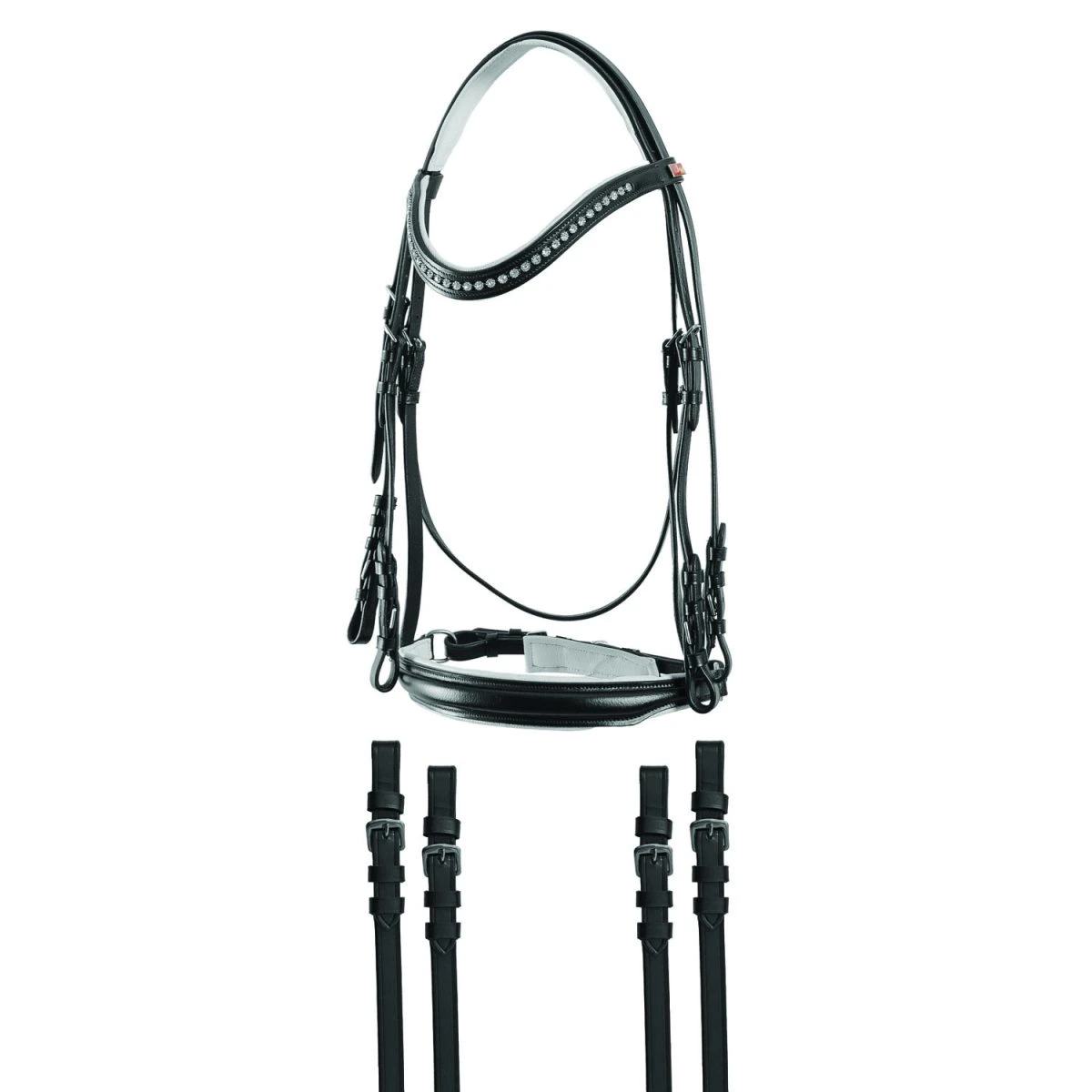 JM Briglia Dressage con Brillantini