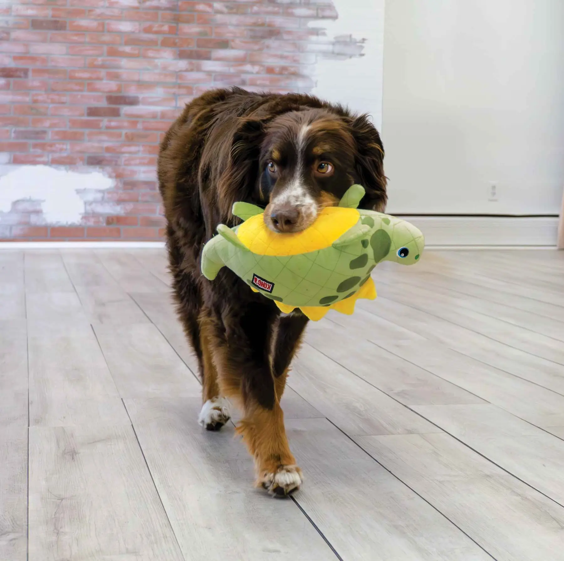 KONG Gioco per cani Dinosauro verde - M/L - Foto 1