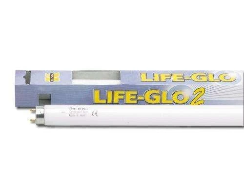 Lampada Neon T8 Life Glo 2 a luce bianca naturale con confezione