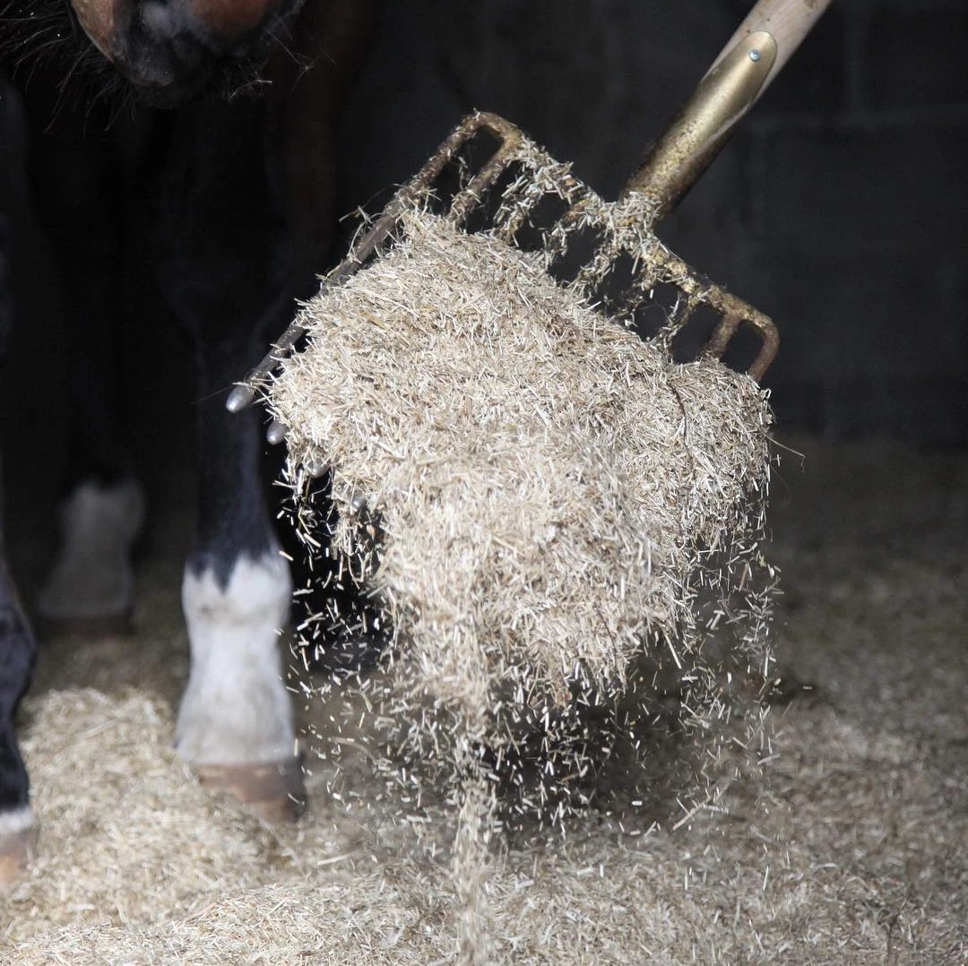 Lettiera Paglia ecoflax 100% lino per Cavalli - 120 litri - 20 kg - Foto 4