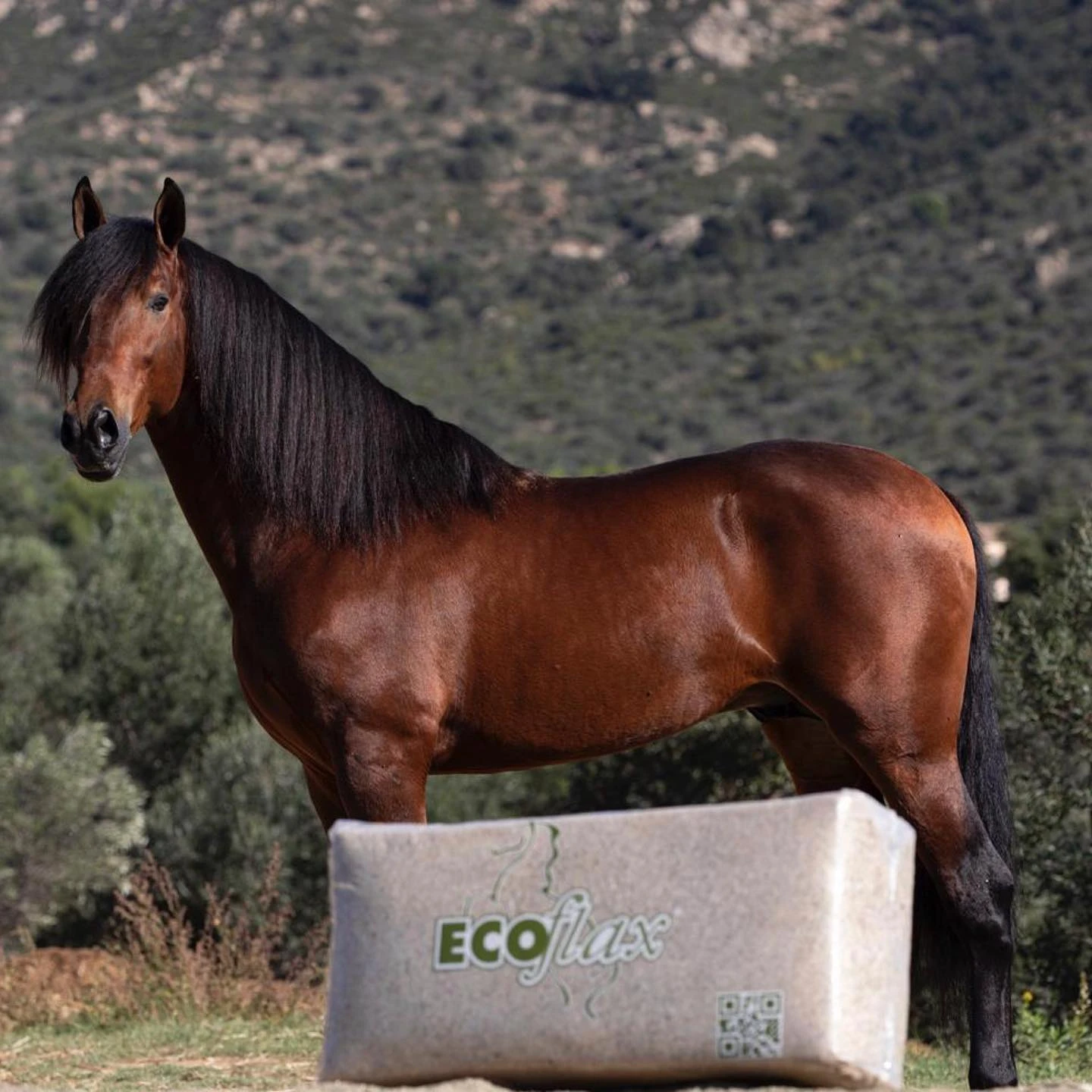 Lettiera Paglia ecoflax 100% lino per Cavalli - 120 litri - 20 kg - Foto 5