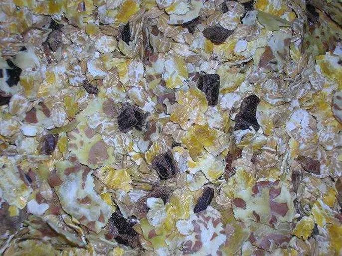 Mangime Fioccato Misto 4P Granfiocco - Mangimi Mariani - Foto 2