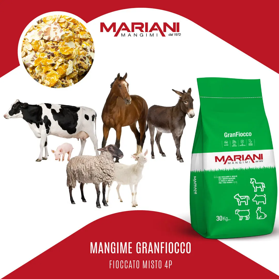 Mangime Fioccato Misto 4P Granfiocco - Mangimi Mariani - Foto 4
