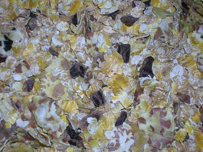 Mangime Fioccato Misto 4P Granfiocco - Mangimi Mariani - Foto 2