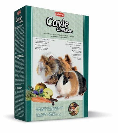 Padovan GrandMix Cavie 850 g - mangime con frutta e verdura