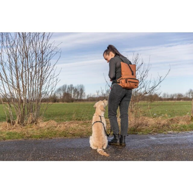Marsupio o zaino per passeggiate col cane, porta bottiglia, guinzaglio, crocchette e snack - Foto 9