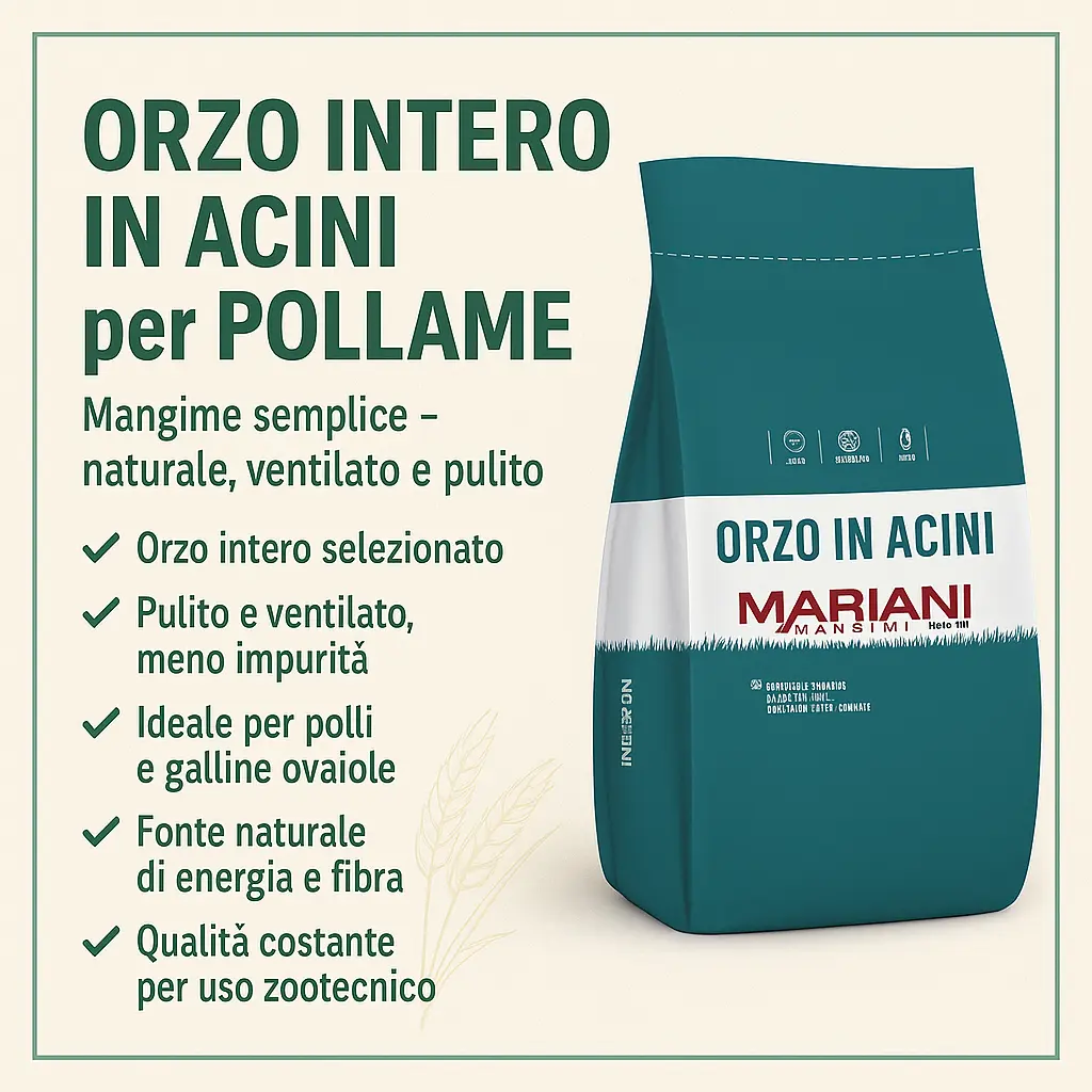 Orzo intero in acini per Polli e Galline - Foto 3