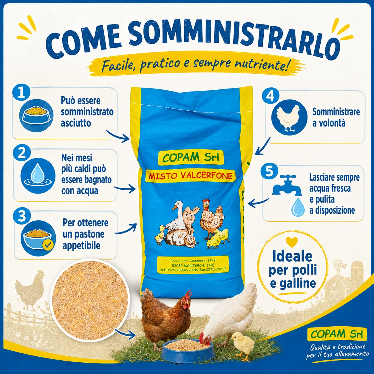 Come somministrare il Pastone Intrisa per Polli in Farina Valcerfone