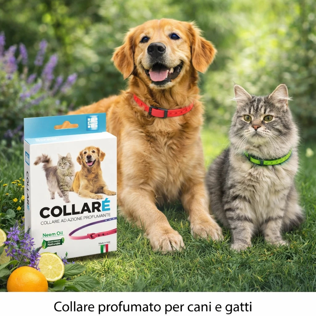Per cani e gatti