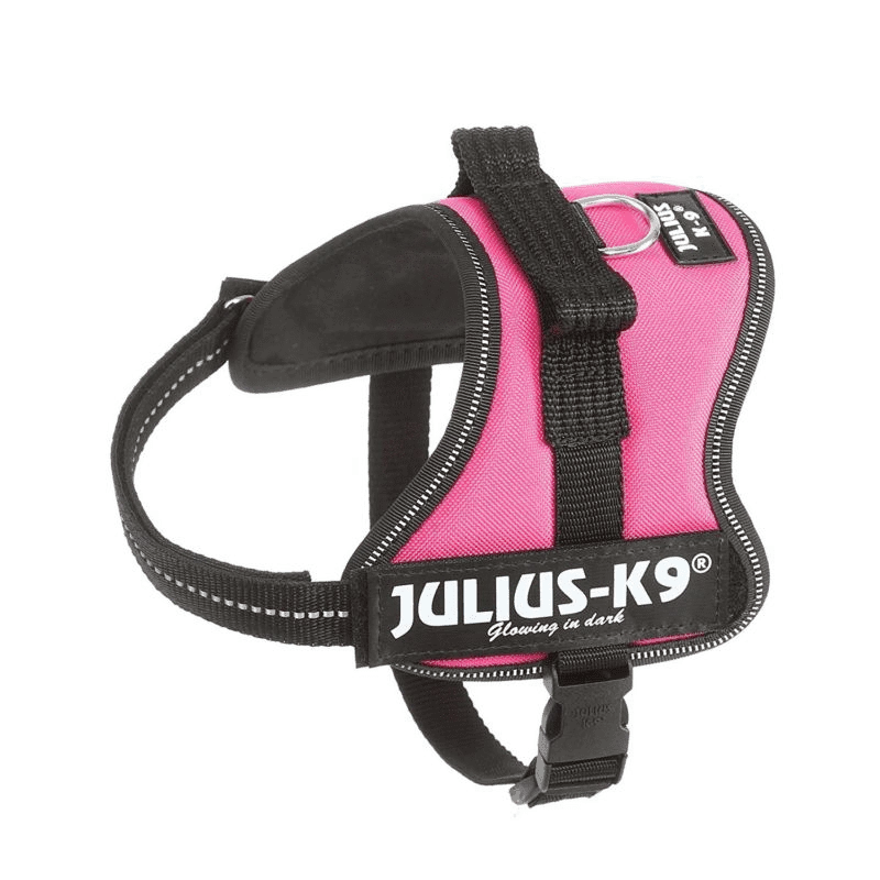Pettorina Julius K9 Mini-Mini/S fucsia 40-53 cm per cane