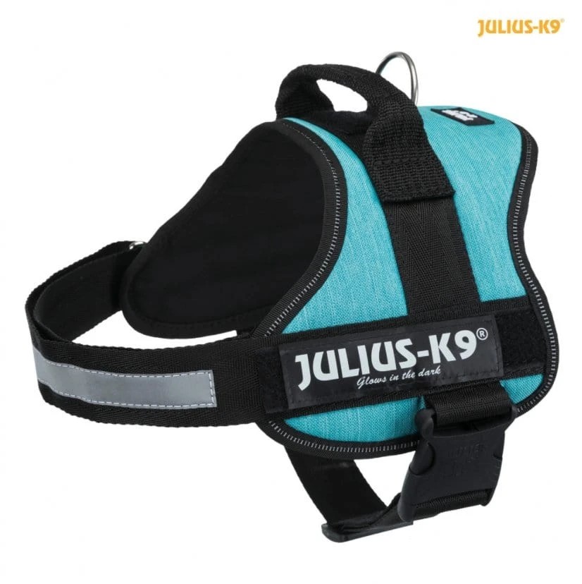 Pettorina Julius-K9 Power azzurra con maniglia e dettagli riflettenti per cane