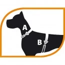 Pettorina Champion Small per Cani - Verde Acido - Ferplast - Foto 2