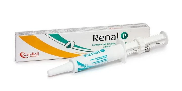 Candioli Renal P pasta in siringa 15 ml