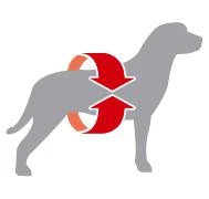 Royal Canin BREED LABRADOR ADULT - Da 15 mesi in sù - Kg.12 - Foto 3