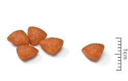 Royal Canin MINI STARTER MOTHER AND BABYDOG - Svezzamento - Kg.1 - Foto 2