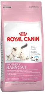 Royal Canin Mother & Babycat - secco 400 gr - Foto 6