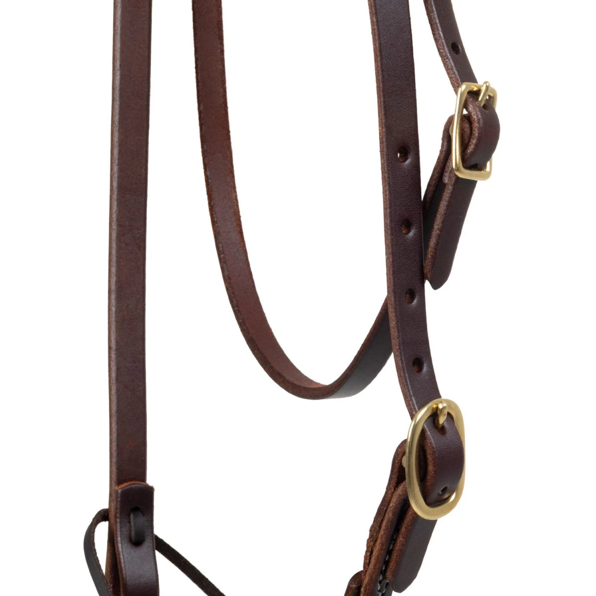 Testiera Western Platinum Pro - Browband singolo - Unica Testa di Moro - foto 3