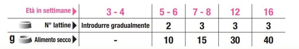 Trainer NATURAL BABY KITTEN WITH TURKEY - Umido Gattino 24 lattine da Gr. 80 - Foto 3